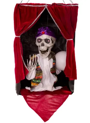 Motion Activated Animated Fortune Teller Halloween Decoration