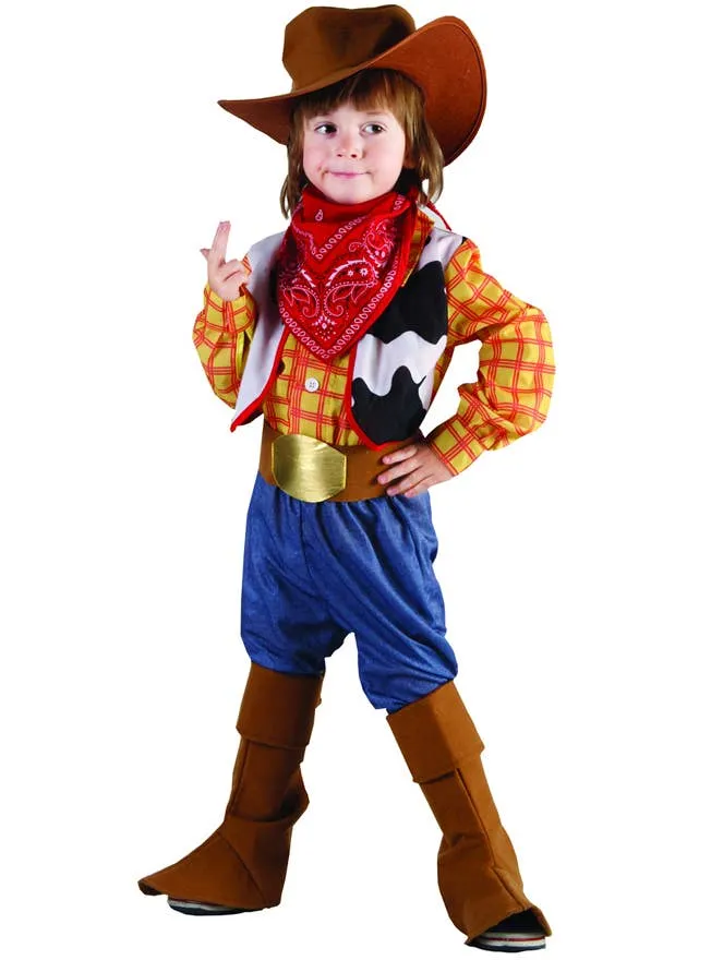 Movie Cowboy Boys Woody Inspired Dress Up Costume