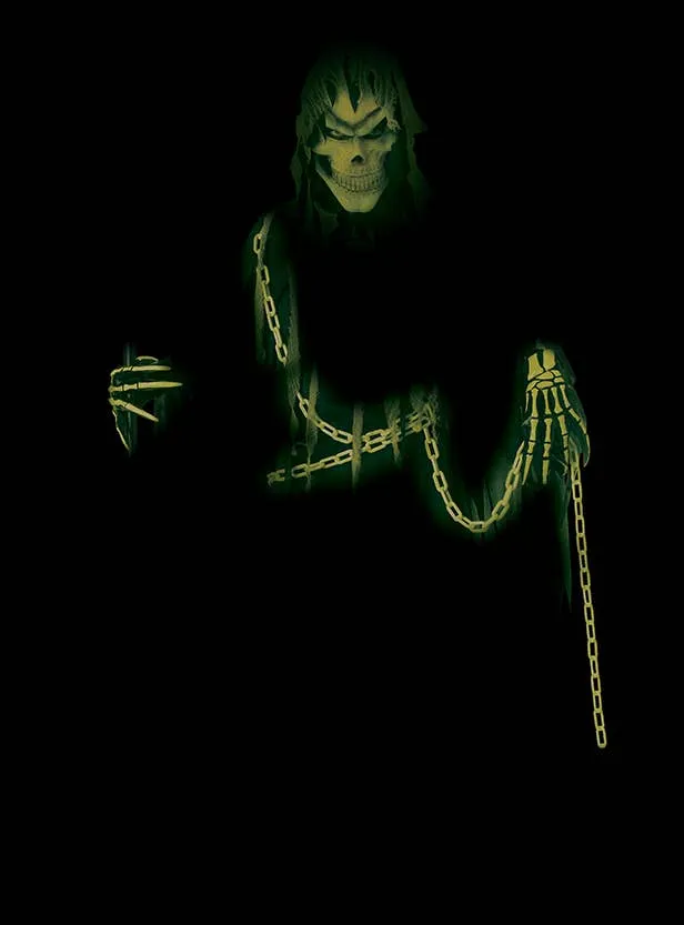 Mr Grim Deluxe Glow in the Dark Boys Halloween Costume