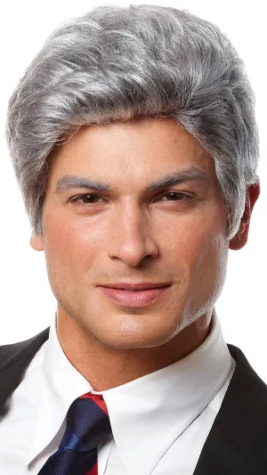 Mr President Mens Short Silver Grey Costume Wig