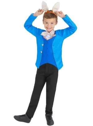 Mr Rabbit Boys Book Week Costume