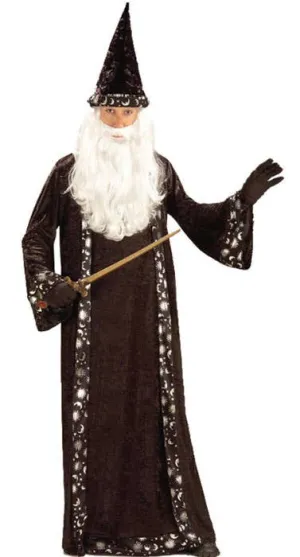 Mr Wizard Mens Black Merlin Costume