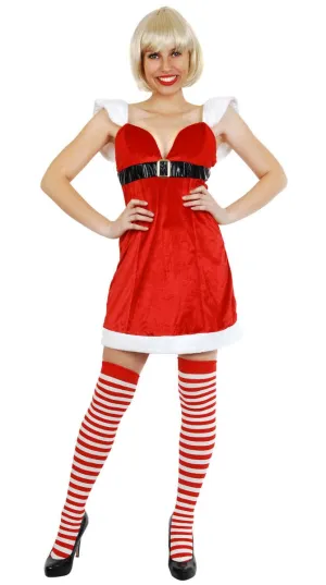 Mrs Claus Womens Christmas Dress Up Costume