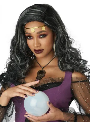 Mystified Womens Black and Grey Gypsy Costume Wig