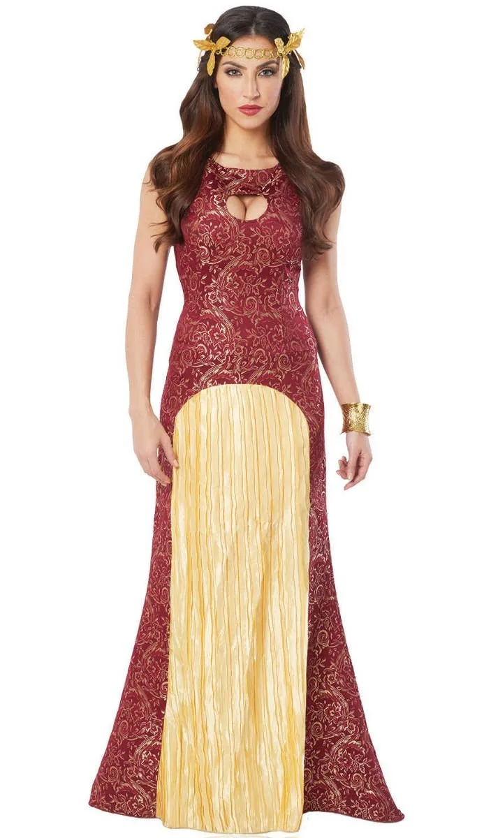 Noble Lady Womens Medieval Fancy Dress Costume