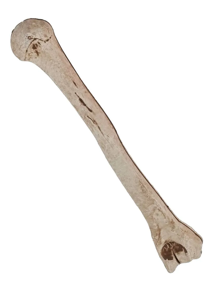 Novelty Plastic Skeleton Arm Bone Halloween Decoration