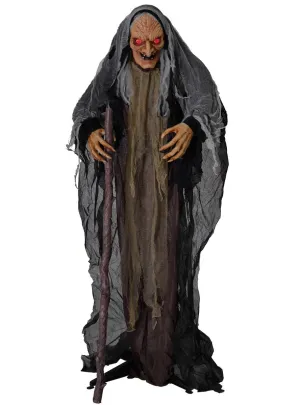Old Hag Deluxe Animated Halloween Decoration