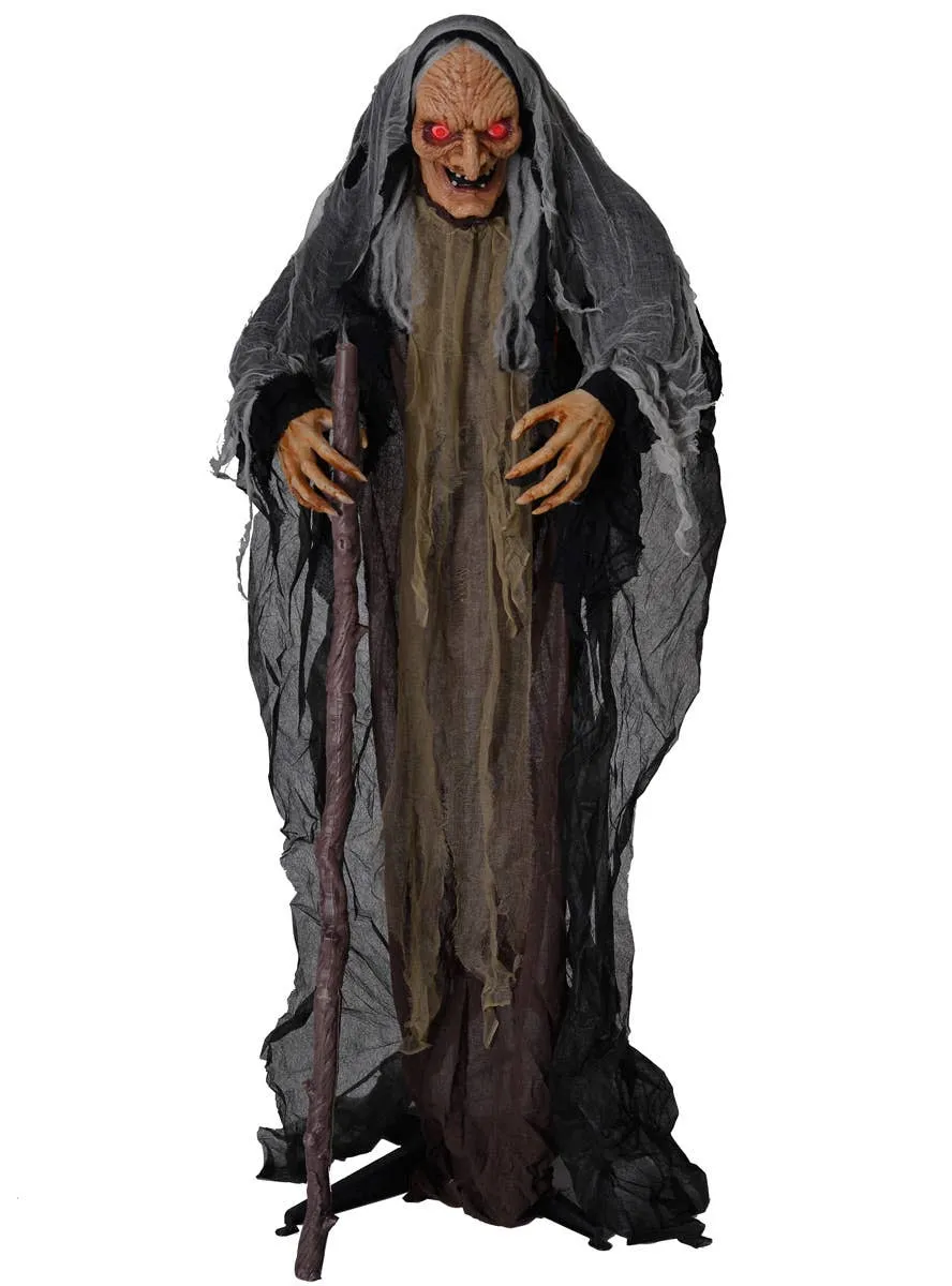 Old Hag Deluxe Animated Halloween Decoration