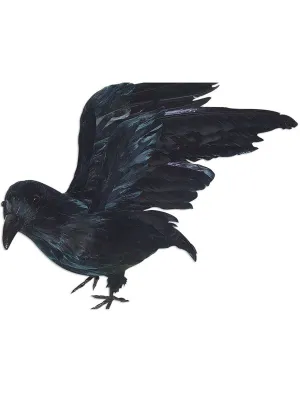 Open Winged Black Feather Raven Halloween Decoration