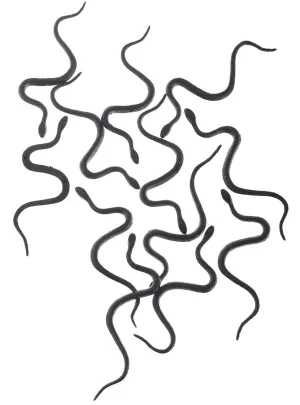 Pack of 12 Mini Black Snakes Halloween Decoration