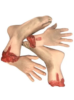 Pack of 4 Severed Hands and Feet Halloween Props