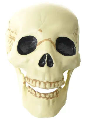Plastic 15cm Skull Decoration with Moveable Jaw