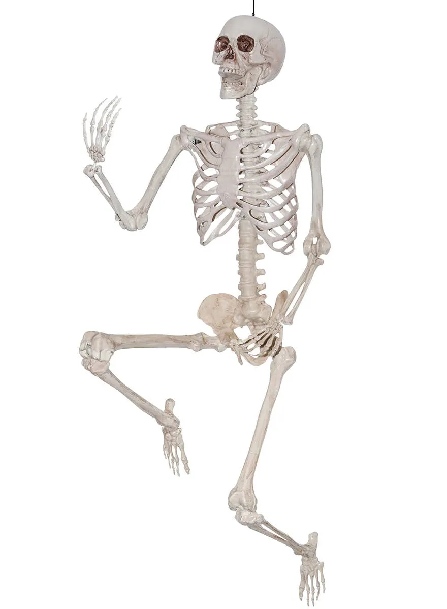 Pose and Hold 7 Foot Human Skeleton Halloween Decoration