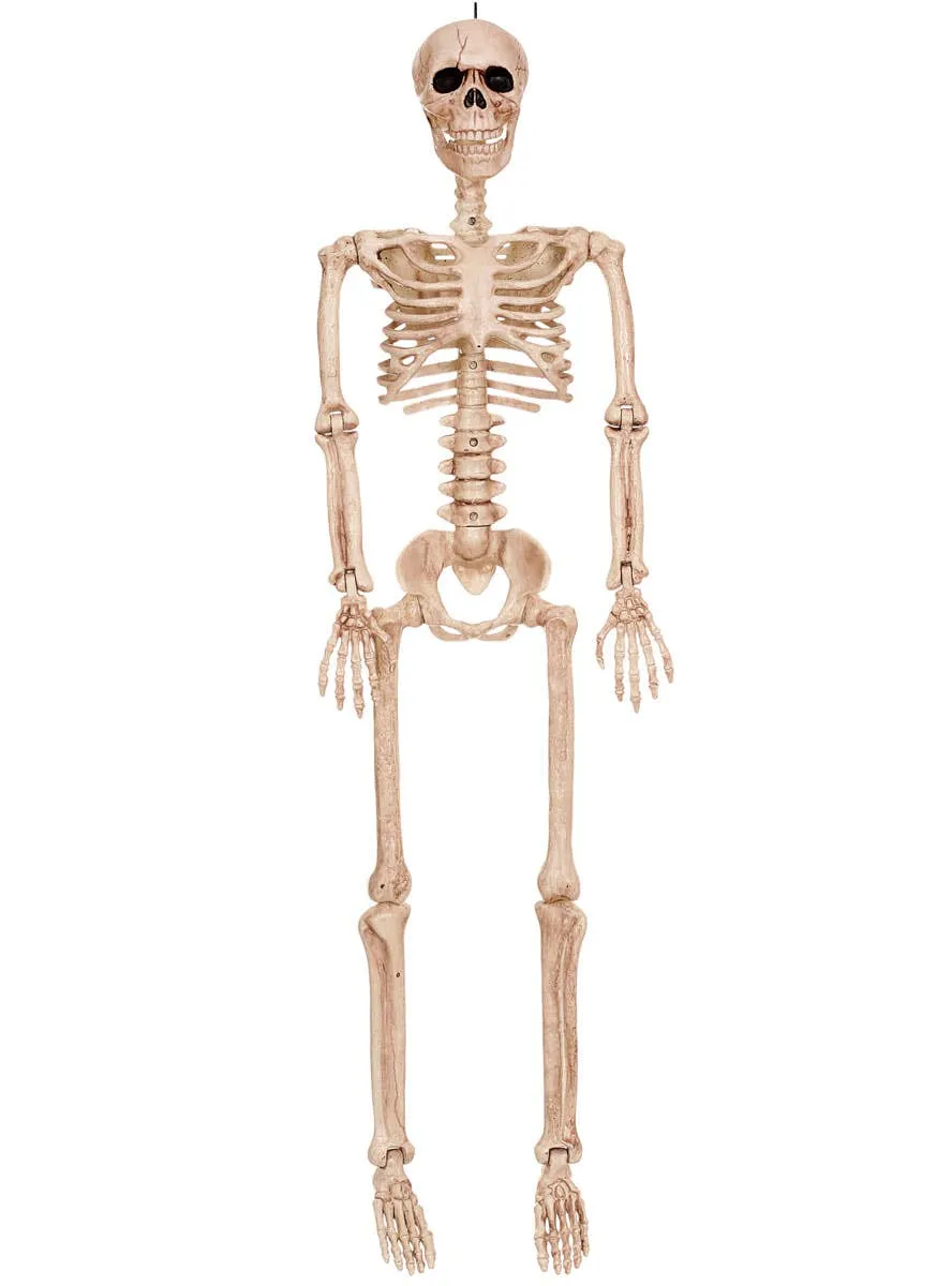 Poseable 90cm Human Skeleton Halloween Decoration