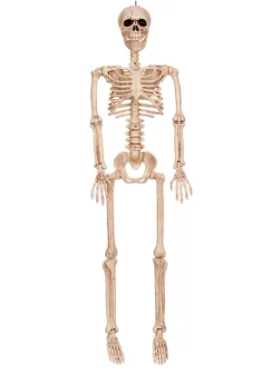 Poseable 90cm Human Skeleton Halloween Decoration