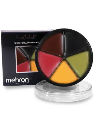 Professional Bruise Colour Wheel Halloween Makeup