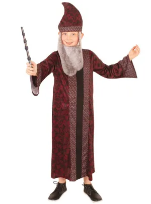 Professor Dumbledore Boys Harry Potter Book Week Costume