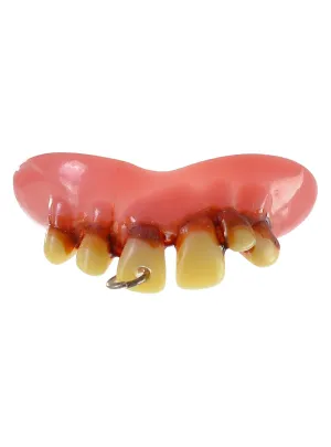 Punk Ring Leader Novelty Custom Fit Teeth Costume Accessory