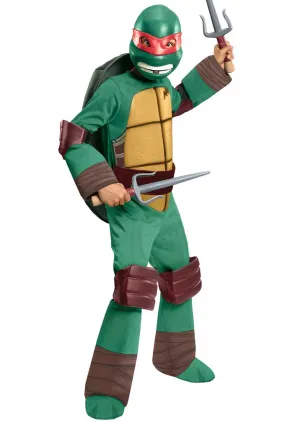 Raphael Teenage Mutant Ninja Turtles Boys Costume
