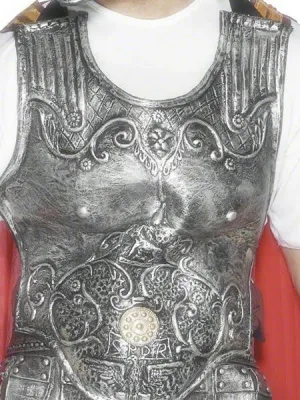 Realistic Armour Breast Plate