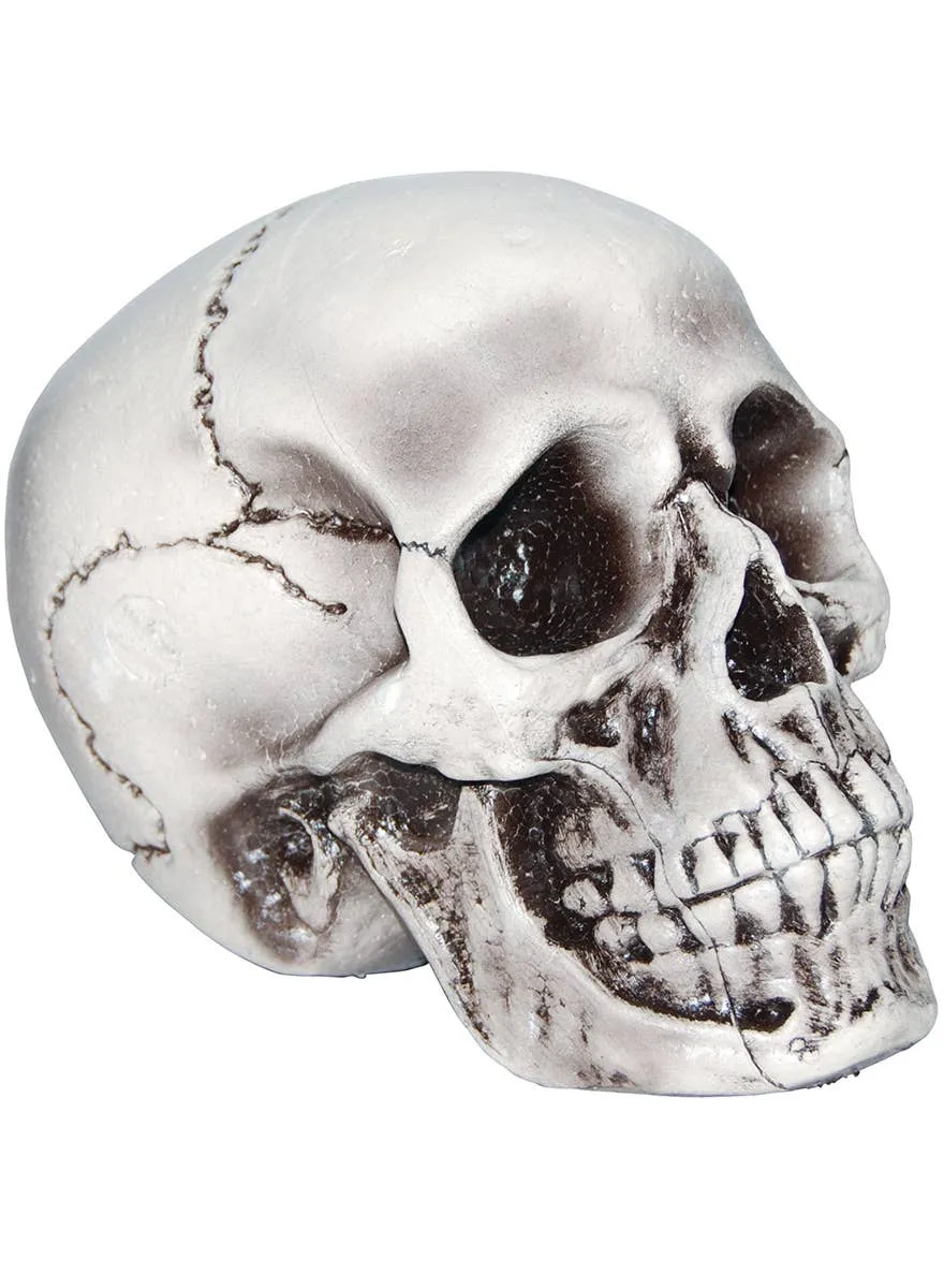 Realistic White Foam Skull Head Halloween Decoration