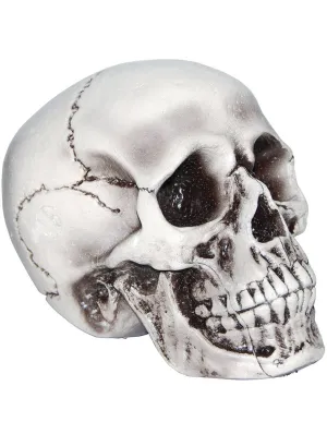 Realistic White Foam Skull Head Halloween Decoration
