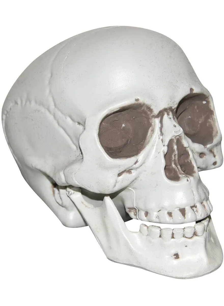Realistic White Plastic Human Skull Head Halloween Decoration