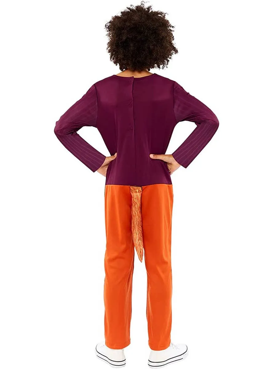 Roald Dahl Fantastic Mr Fox Boys Book Week Costume