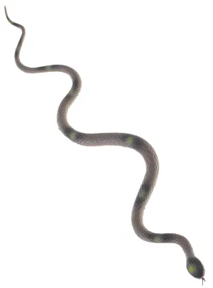 Rubber 45cm Grey Cobra Snake Halloween Decoration
