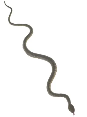 Rubber 45cm Light Green Snake Halloween Decoration