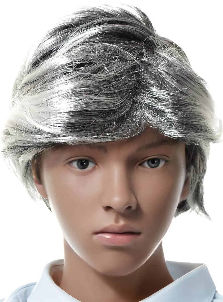 Salt and Pepper Boys Old Man Costume Wig