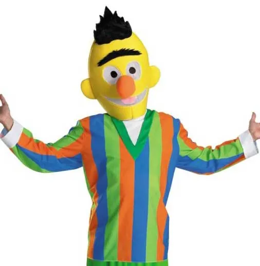 Sesame Street Mens Bert Character Costume
