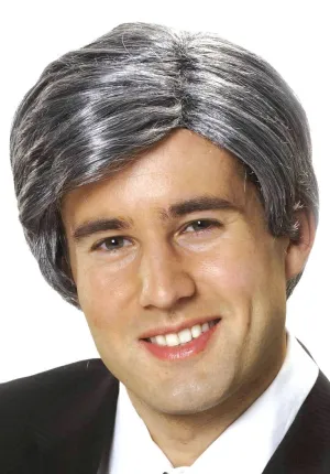 Silver Fox Mens Grey Costume Wig
