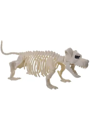 Skeleton Bull Terrier Dog Halloween Decoration