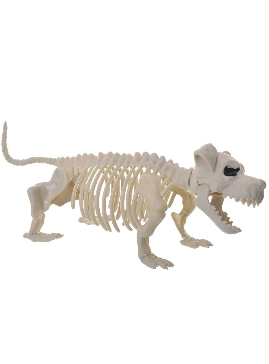 Skeleton Bull Terrier Dog Halloween Decoration