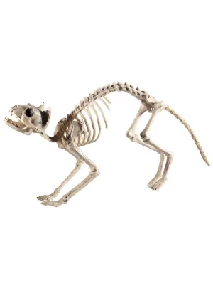 Skeleton Cat Haunted House Decoration