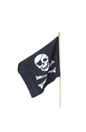 Skull and Crossbones Pirate Flag