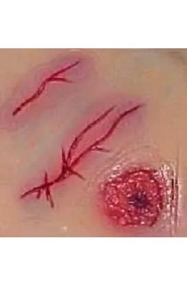 Slashes and Wound Stick On Adhesive Special FX