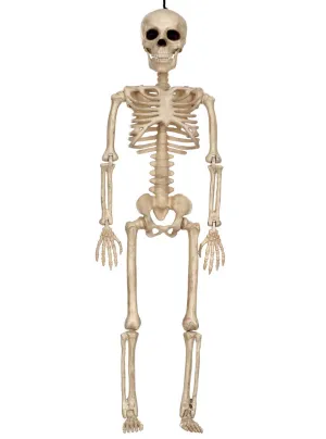 Small 16 Inch Posable Human Skeleton Halloween Decoration