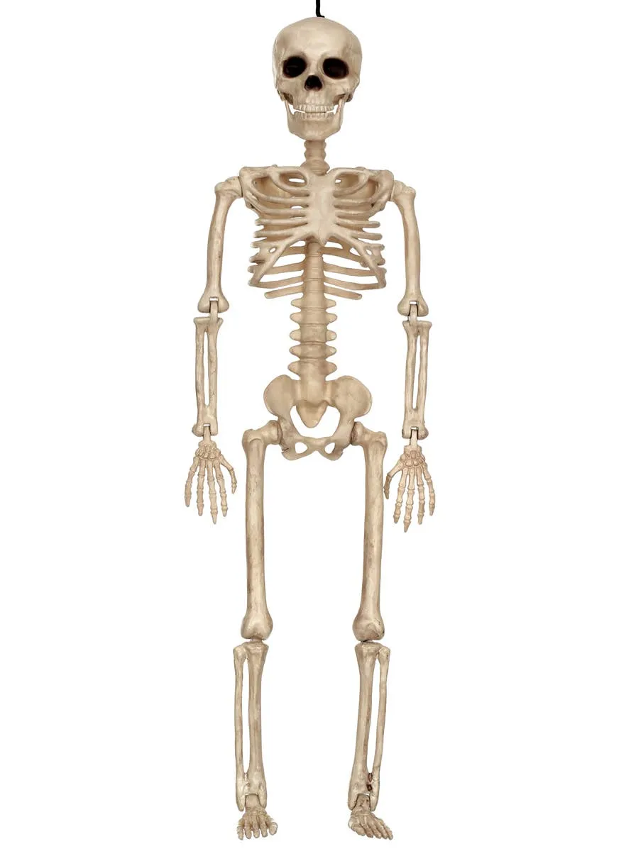 Small 16 Inch Posable Human Skeleton Halloween Decoration