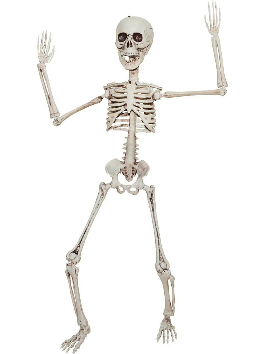 Small Poseable Plastic Human Skeleton Halloween Decoration