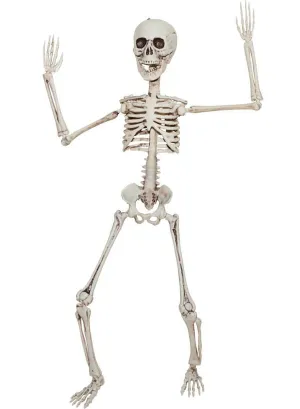 Small Poseable Plastic Human Skeleton Halloween Decoration
