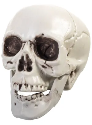 Small White Plastic Human Skull Halloween Decoration