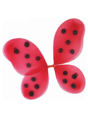 Spotty Red and Black Ladybug Girls Costume Wings