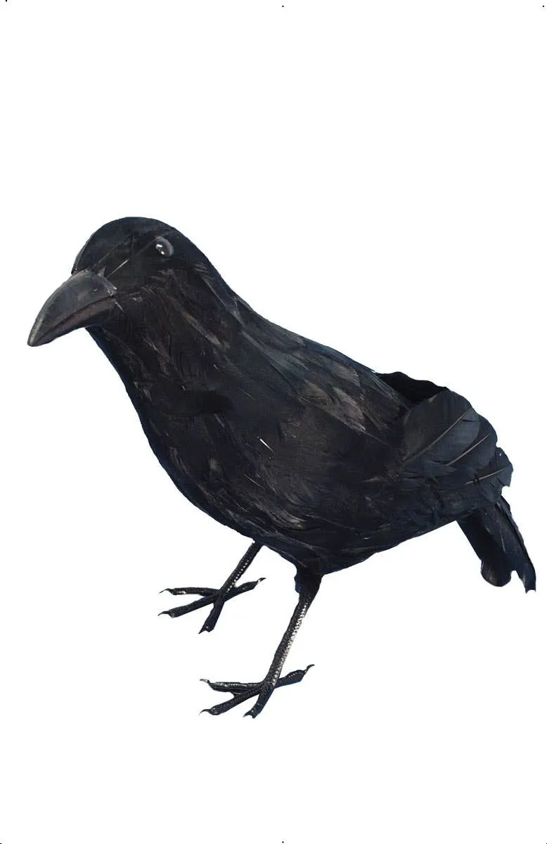 Standing Black Feather Crow Halloween Decoration
