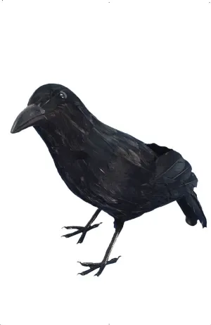 Standing Black Feather Crow Halloween Decoration