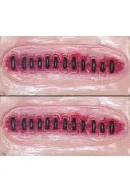 Stitched Up Scars Stick On Adhesive Special FX
