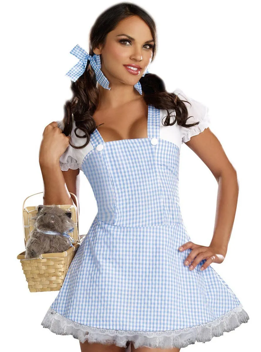 Storybook Dorothy Womens Sexy Dress Up Costume