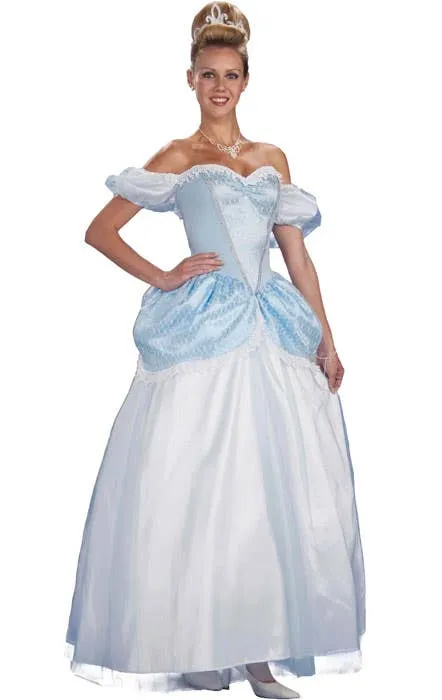 Storybook Womens Princess Cinderella Book Week Costume