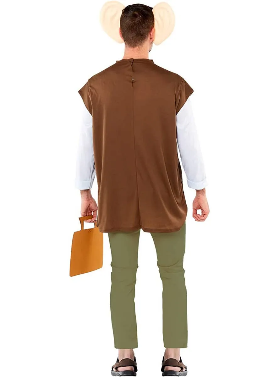 The BFG Roald Dahl Mens Book Week Costume
